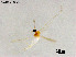  ( - ZJ393)  @11 [ ] CreativeCommons-Attribution Non-Commercial Share-Alike (2020) Xiaolong Lin Nankai University, College of Life Sciences