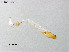  ( - ZJ427)  @11 [ ] CreativeCommons-Attribution Non-Commercial Share-Alike (2020) Xiaolong Lin Nankai University, College of Life Sciences
