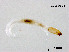  ( - ZJ434)  @12 [ ] CreativeCommons - Attribution Non-Commercial Share-Alike (2019) Xiaolong Lin College of Life Sciences, Nankai University
