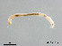  ( - ZJ486)  @12 [ ] CreativeCommons - Attribution Non-Commercial Share-Alike (2019) Xiaolong Lin College of Life Sciences, Nankai University