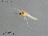  ( - ZJ500)  @11 [ ] CreativeCommons-Attribution Non-Commercial Share-Alike (2020) Xiaolong Lin Nankai University, College of Life Sciences