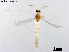  ( - ZJ517)  @11 [ ] CreativeCommons-Attribution Non-Commercial Share-Alike (2020) Xiaolong Lin Nankai University, College of Life Sciences