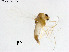  ( - ZJ684)  @11 [ ] CreativeCommons-Attribution Non-Commercial Share-Alike (2020) Xiaolong Lin Nankai University, College of Life Sciences