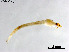  ( - ZJ717)  @11 [ ] CreativeCommons-Attribution Non-Commercial Share-Alike (2020) Xiaolong Lin Nankai University, College of Life Sciences