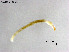  ( - ZJ737)  @11 [ ] CreativeCommons-Attribution Non-Commercial Share-Alike (2020) Xiaolong Lin Nankai University, College of Life Sciences