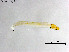  ( - ZJ738)  @11 [ ] CreativeCommons-Attribution Non-Commercial Share-Alike (2020) Xiaolong Lin Nankai University, College of Life Sciences