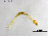  ( - ZJ744)  @11 [ ] CreativeCommons-Attribution Non-Commercial Share-Alike (2020) Xiaolong Lin Nankai University, College of Life Sciences