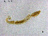  ( - ZJ754)  @11 [ ] CreativeCommons-Attribution Non-Commercial Share-Alike (2020) Xiaolong Lin Nankai University, College of Life Sciences