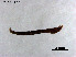  ( - ZJ765)  @11 [ ] CreativeCommons-Attribution Non-Commercial Share-Alike (2020) Xiaolong Lin Nankai University, College of Life Sciences