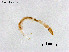  ( - ZJ787)  @11 [ ] CreativeCommons-Attribution Non-Commercial Share-Alike (2020) Xiaolong Lin Nankai University, College of Life Sciences