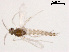  ( - ZJ85)  @11 [ ] CreativeCommons - Attribution Non-Commercial Share-Alike (2019) Xiaolong Lin College of Life Sciences, Nankai University