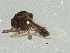  ( - BIOUG01982-G04)  @12 [ ] CreativeCommons - Attribution (2012) CBG Photography Group Centre for Biodiversity Genomics