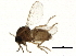  ( - BIOUG02056-G04)  @13 [ ] CreativeCommons - Attribution (2012) CBG Photography Group Centre for Biodiversity Genomics