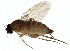  ( - BIOUG02056-G12)  @14 [ ] CreativeCommons - Attribution (2012) CBG Photography Group Centre for Biodiversity Genomics