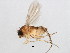  ( - BIOUG01915-D04)  @14 [ ] CreativeCommons - Attribution (2012) CBG Photography Group Centre for Biodiversity Genomics