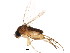  ( - BIOUG01915-G10)  @13 [ ] CreativeCommons - Attribution (2012) CBG Photography Group Centre for Biodiversity Genomics