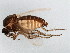  ( - BIOUG01920-A09)  @13 [ ] CreativeCommons - Attribution (2012) CBG Photography Group Centre for Biodiversity Genomics