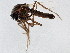  ( - BIOUG01920-A10)  @14 [ ] CreativeCommons - Attribution (2012) CBG Photography Group Centre for Biodiversity Genomics