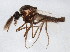  ( - BIOUG01920-B06)  @13 [ ] CreativeCommons - Attribution (2012) CBG Photography Group Centre for Biodiversity Genomics