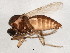  ( - BIOUG01920-G06)  @13 [ ] CreativeCommons - Attribution (2012) CBG Photography Group Centre for Biodiversity Genomics
