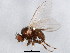  ( - BIOUG01924-H02)  @12 [ ] CreativeCommons - Attribution (2012) CBG Photography Group Centre for Biodiversity Genomics