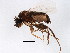  ( - BIOUG01929-E01)  @13 [ ] CreativeCommons - Attribution (2012) CBG Photography Group Centre for Biodiversity Genomics