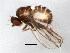  ( - BIOUG01930-E04)  @12 [ ] CreativeCommons - Attribution (2012) CBG Photography Group Centre for Biodiversity Genomics