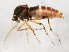  ( - BIOUG01931-A03)  @13 [ ] CreativeCommons - Attribution (2012) CBG Photography Group Centre for Biodiversity Genomics