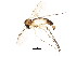  ( - BIOUG01931-B12)  @12 [ ] CreativeCommons - Attribution (2012) CBG Photography Group Centre for Biodiversity Genomics