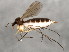  ( - BIOUG01931-G01)  @13 [ ] CreativeCommons - Attribution (2012) CBG Photography Group Centre for Biodiversity Genomics