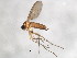  ( - BIOUG01931-H05)  @12 [ ] CreativeCommons - Attribution (2012) CBG Photography Group Centre for Biodiversity Genomics