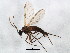  ( - BIOUG01932-E04)  @13 [ ] CreativeCommons - Attribution (2012) CBG Photography Group Centre for Biodiversity Genomics