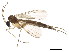  ( - BIOUG01983-B11)  @13 [ ] CreativeCommons - Attribution (2012) CBG Photography Group Centre for Biodiversity Genomics