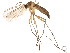  ( - BIOUG01983-E05)  @14 [ ] CreativeCommons - Attribution (2012) CBG Photography Group Centre for Biodiversity Genomics