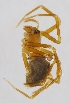  ( - HLA.12632)  @11 [ ] CreativeCommons - Attribution Non-Commercial (2019) Marko Mutanen University of Oulu