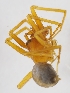  ( - HLA.55243)  @11 [ ] CreativeCommons - Attribution Non-Commercial (2019) Marko Mutanen University of Oulu