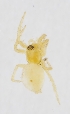  ( - HLA.81061)  @11 [ ] CreativeCommons - Attribution Non-Commercial (2019) Marko Mutanen University of Oulu