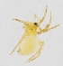  ( - HLB.61857)  @11 [ ] CreativeCommons - Attribution Non-Commercial (2019) Marko Mutanen University of Oulu