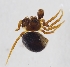  ( - HLB.61913)  @11 [ ] CreativeCommons - Attribution Non-Commercial (2019) Marko Mutanen University of Oulu