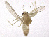  ( - CH-eik117)  @11 [ ] CreativeCommons - Attribution Non-Commercial Share-Alike (2013) NTNU Museum of Natural History and Archaeology NTNU Museum of Natural History and Archaeology