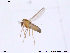  ( - CH-eik12)  @13 [ ] CreativeCommons - Attribution Non-Commercial Share-Alike (2013) NTNU Museum of Natural History and Archaeology NTNU Museum of Natural History and Archaeology