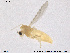  ( - CH-eik47)  @13 [ ] CreativeCommons - Attribution Non-Commercial Share-Alike (2013) NTNU Museum of Natural History and Archaeology NTNU Museum of Natural History and Archaeology