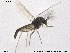  ( - CH-eik49)  @13 [ ] CreativeCommons - Attribution Non-Commercial Share-Alike (2013) NTNU Museum of Natural History and Archaeology NTNU Museum of Natural History and Archaeology
