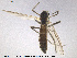  ( - CH-eik53)  @13 [ ] CreativeCommons - Attribution Non-Commercial Share-Alike (2013) NTNU Museum of Natural History and Archaeology NTNU Museum of Natural History and Archaeology