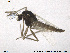  ( - CH-eik81)  @12 [ ] CreativeCommons - Attribution Non-Commercial Share-Alike (2013) NTNU Museum of Natural History and Archaeology NTNU Museum of Natural History and Archaeology