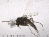 ( - CH-eik82)  @12 [ ] CreativeCommons - Attribution Non-Commercial Share-Alike (2013) NTNU Museum of Natural History and Archaeology NTNU Museum of Natural History and Archaeology