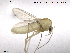  ( - CH-eik95)  @13 [ ] CreativeCommons - Attribution Non-Commercial Share-Alike (2013) NTNU Museum of Natural History and Archaeology NTNU Museum of Natural History and Archaeology