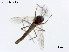 ( - LSHP62)  @11 [ ] CreativeCommons-Attribution Non-Commercial Share-Alike (2020) Xiaolong Lin Nankai University, College of Life Sciences