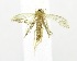 ( - USNM ENT 00720462)  @13 [ ] Unspecified (default): All Rights Reserved  Unspecified Unspecified