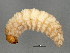  ( - BIOUG02020-B06)  @12 [ ] CreativeCommons - Attribution (2012) CBG Photography Group Centre for Biodiversity Genomics